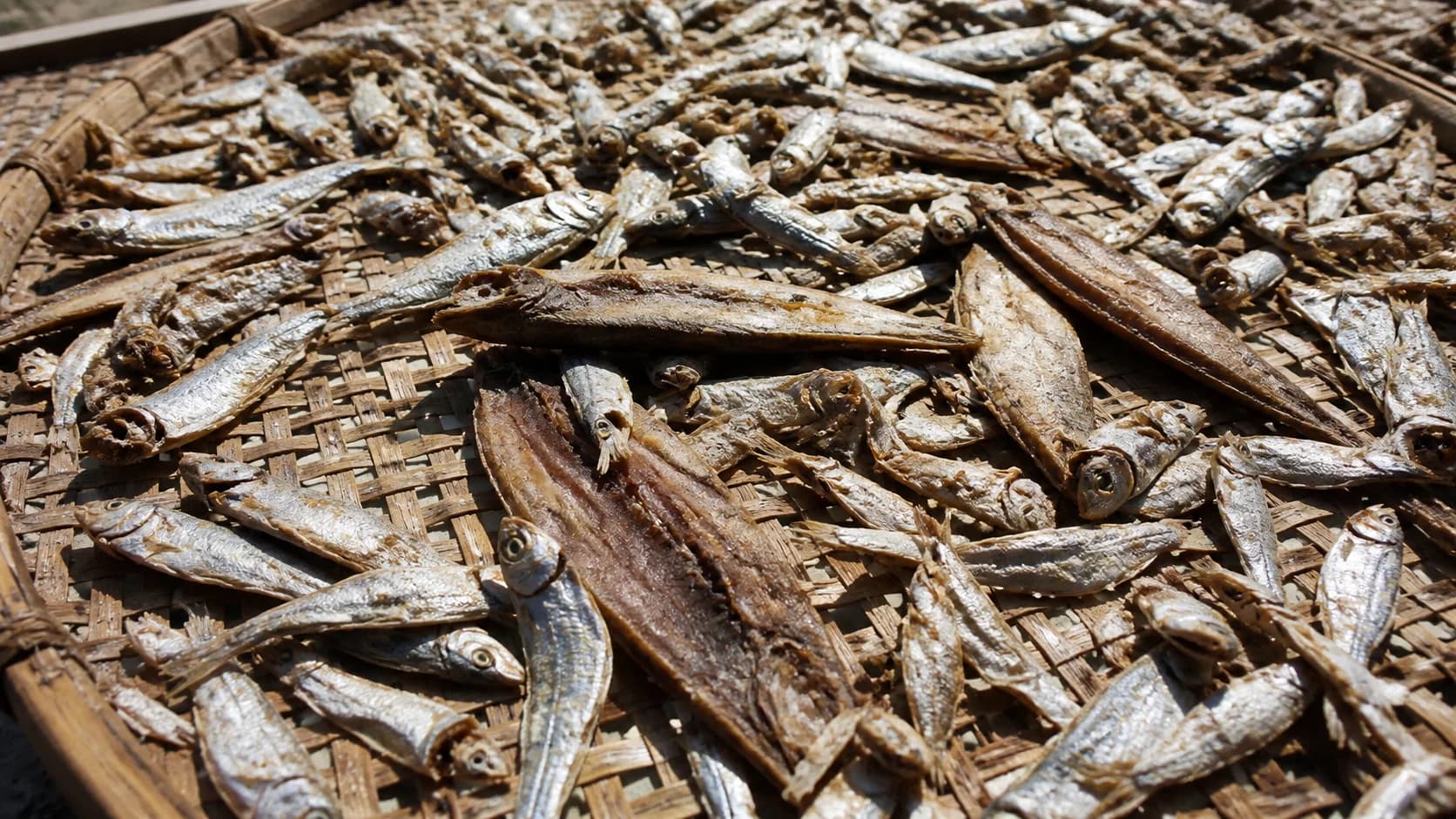 A selection of karuvadu dry fish varieties