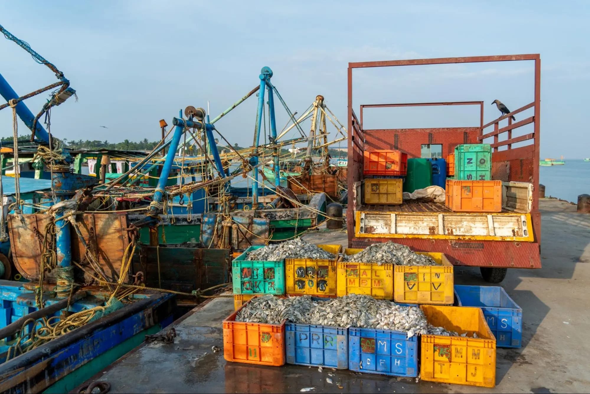 Fishing boats and fresh fish crates at Rameshwaram harbour
