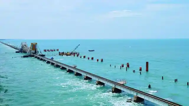 Rameshwaram Coast Fishes